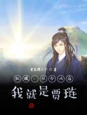 我就是贾琏 TXT
